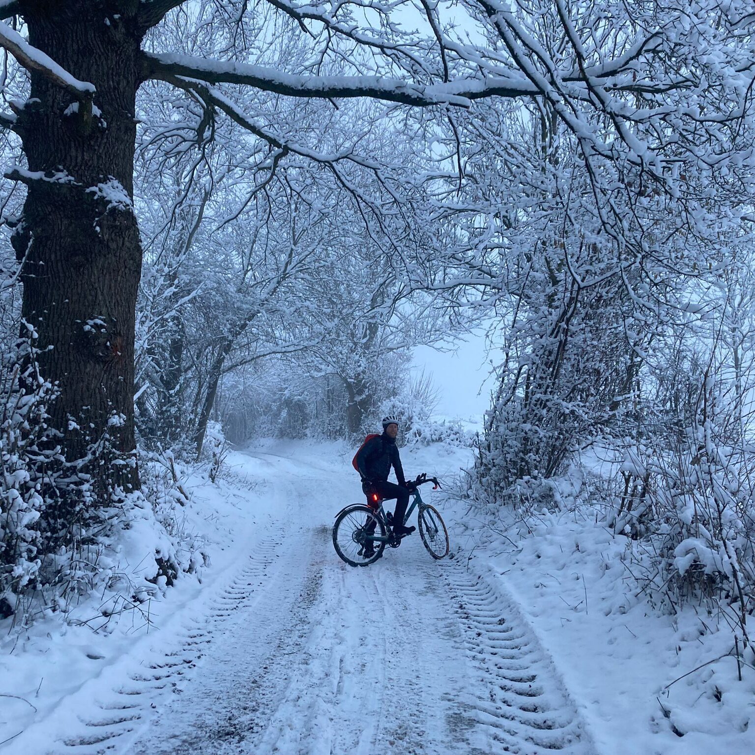 winter willem vierkant